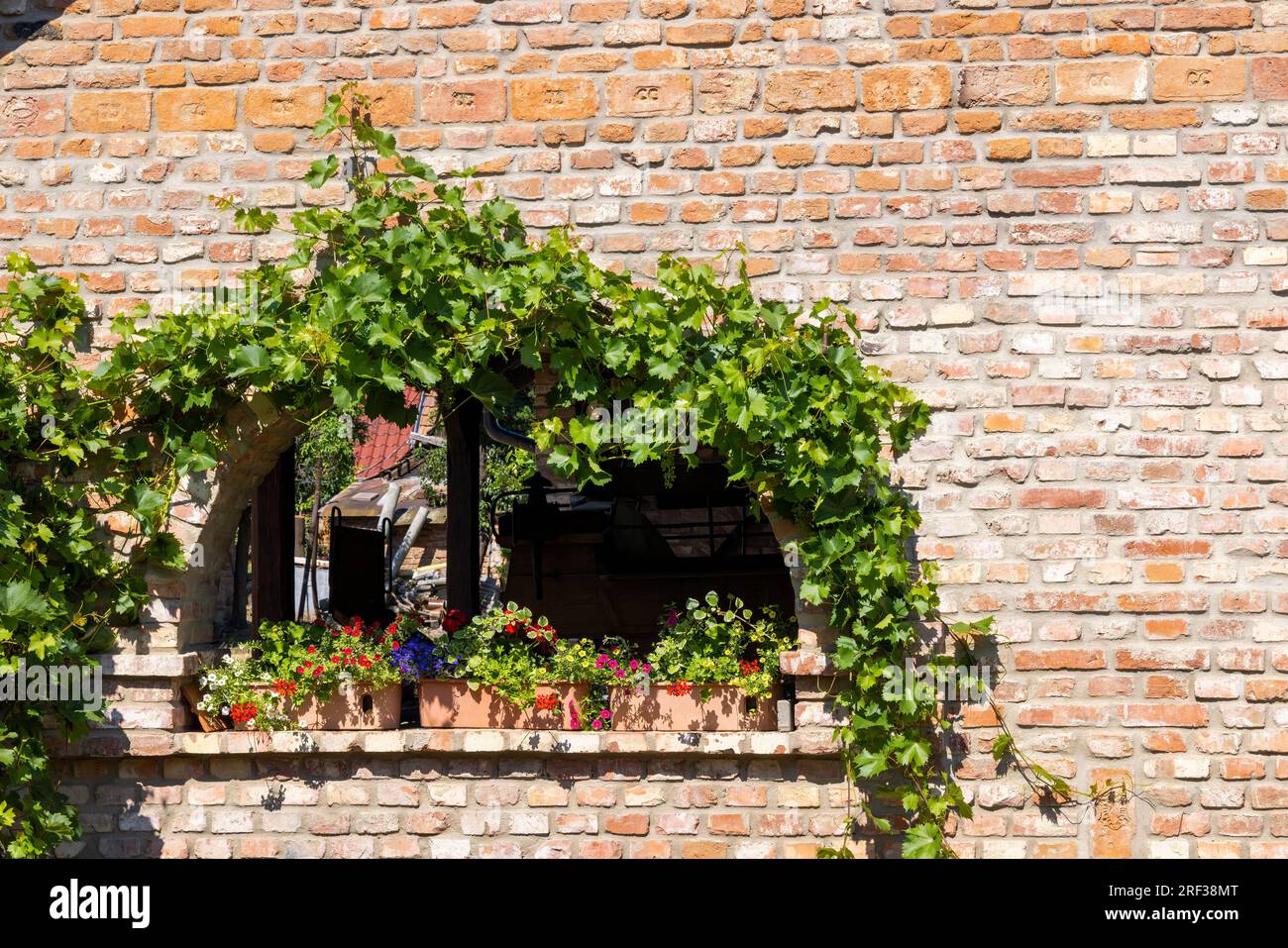 Old country farm, Moravska Nova Ves, Southern Moravia, Czech Republic