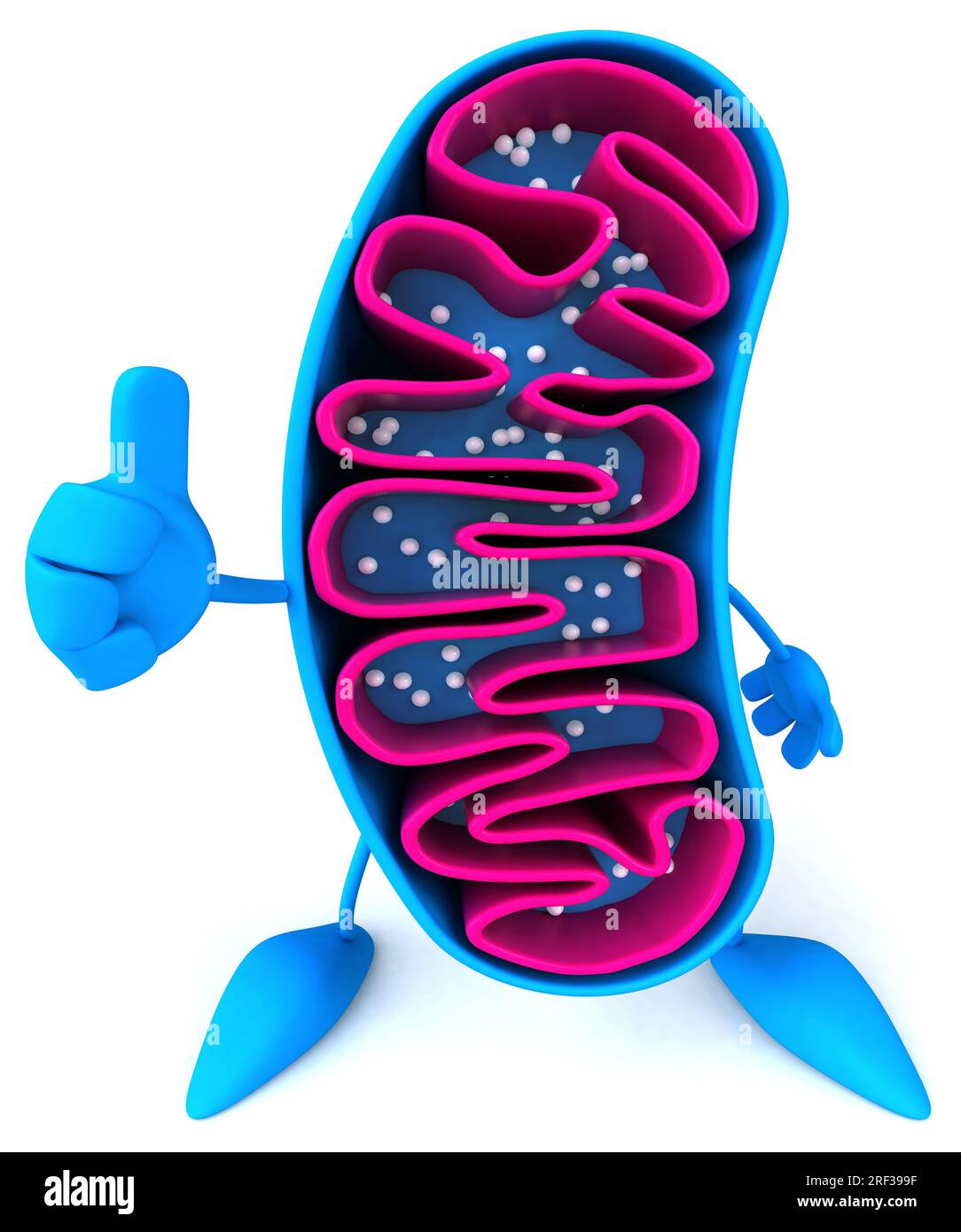 Fun 3D cartoon mitochondria character Stock Photo