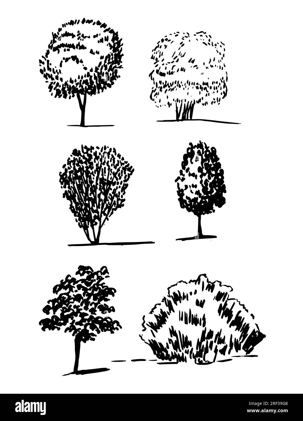 Different kinds of tree vector sketch set Stock Vector