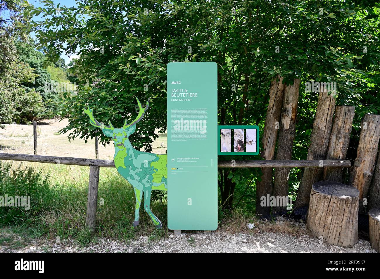 Ernstbrunn, Weinviertel, Lower Austria, Austria. July 29, 2023. Information sign about the timber wolves (Canis lupus lycaon) in the wildlife park Stock Photo