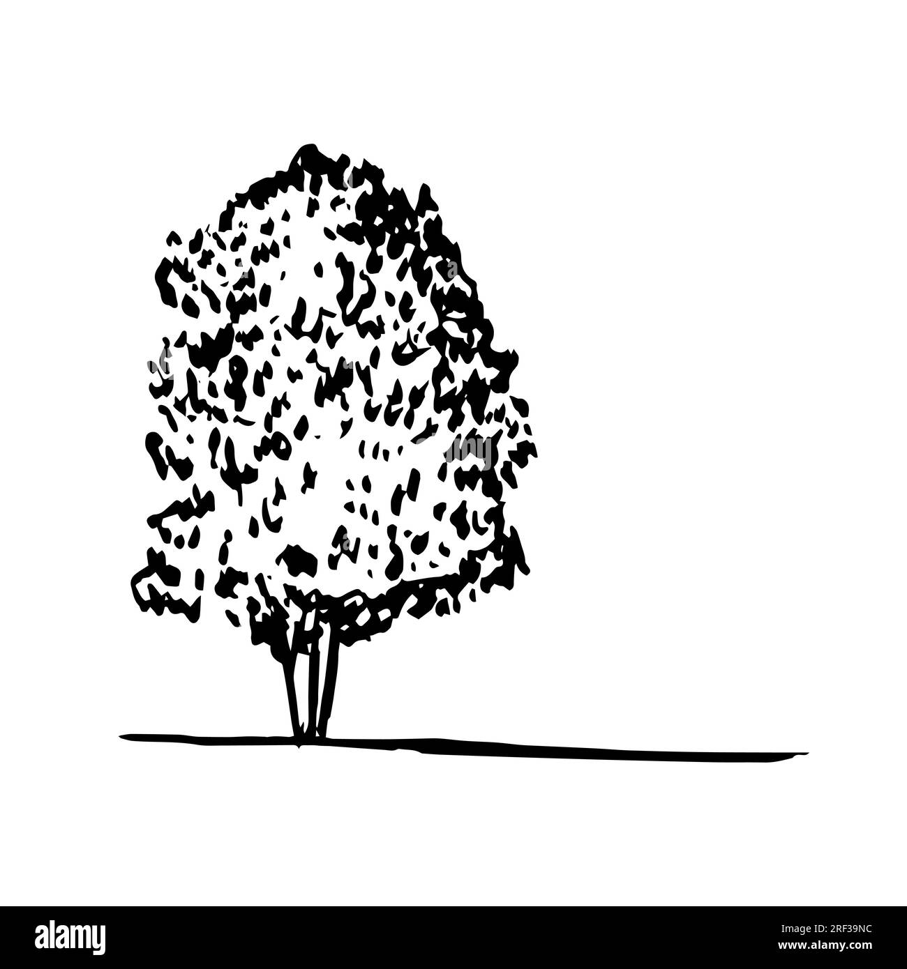 simple vector tree sketch Stock Vector Image & Art - Alamy