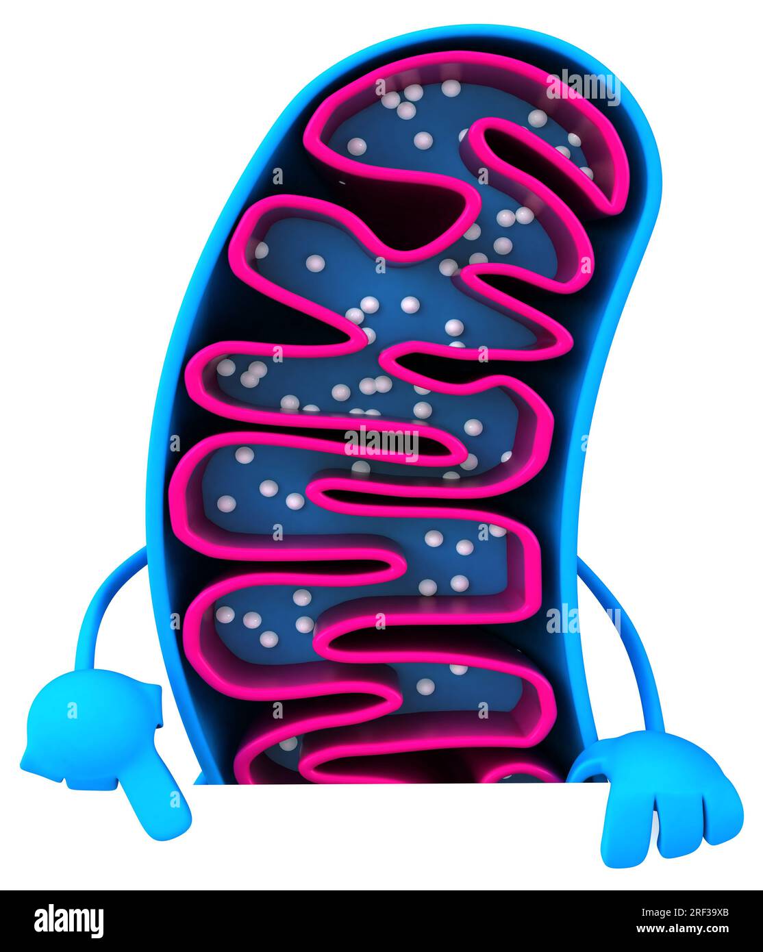 Fun 3D cartoon mitochondria character Stock Photo