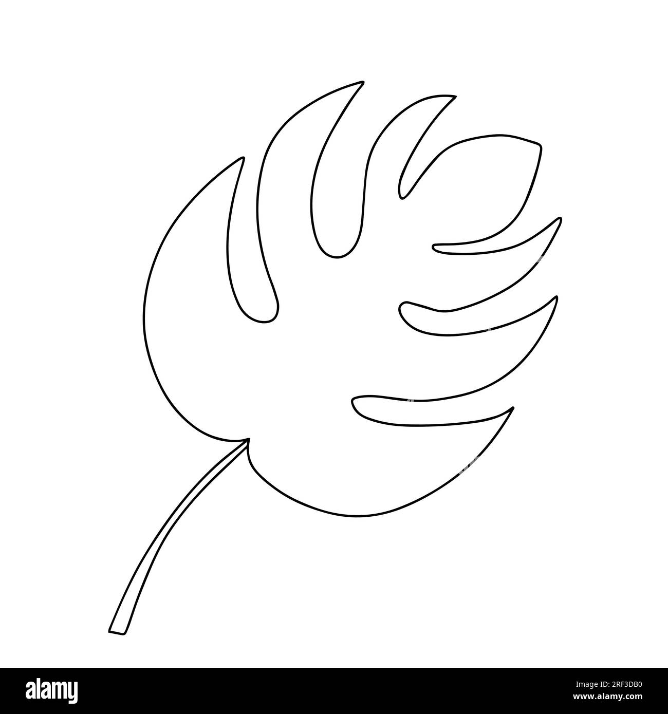 Monstera leaf doodle Stock Vector Image & Art - Alamy