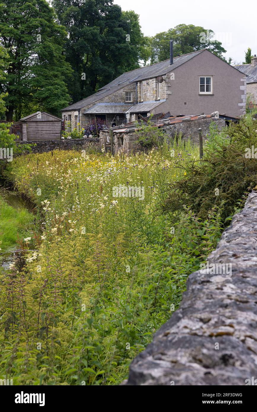 Patch of wild flowers hires stock photography and images Alamy