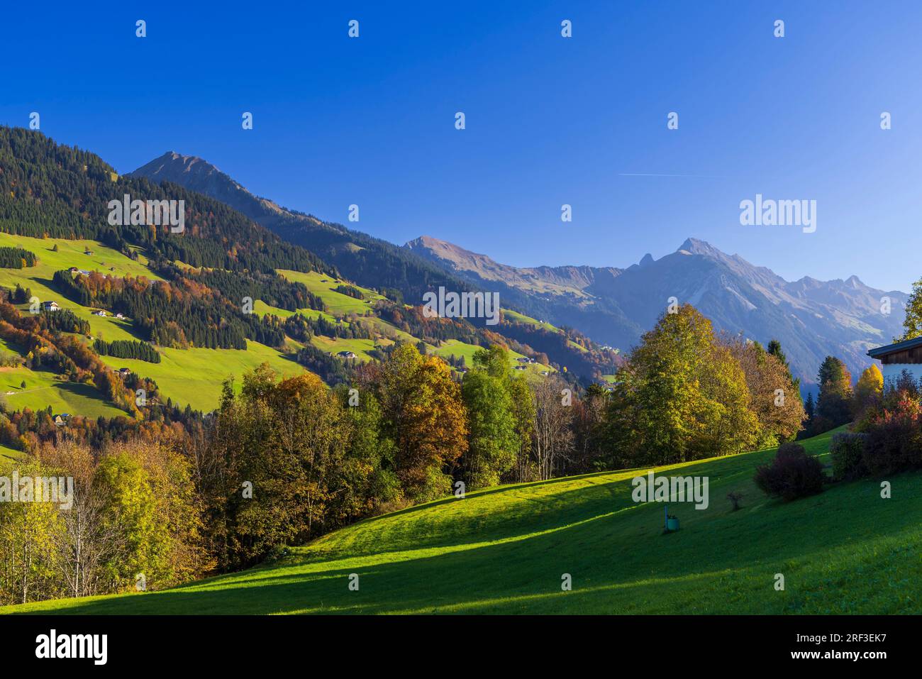 Typical landscape near Sankt Gerold and Bludenz, Bregenzer Wald, Bregenz district, Vorarlberg, Austria Stock Photo