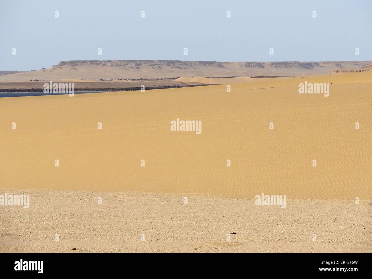 desert scenery around Birket Qarun in Egypt Stock Photo