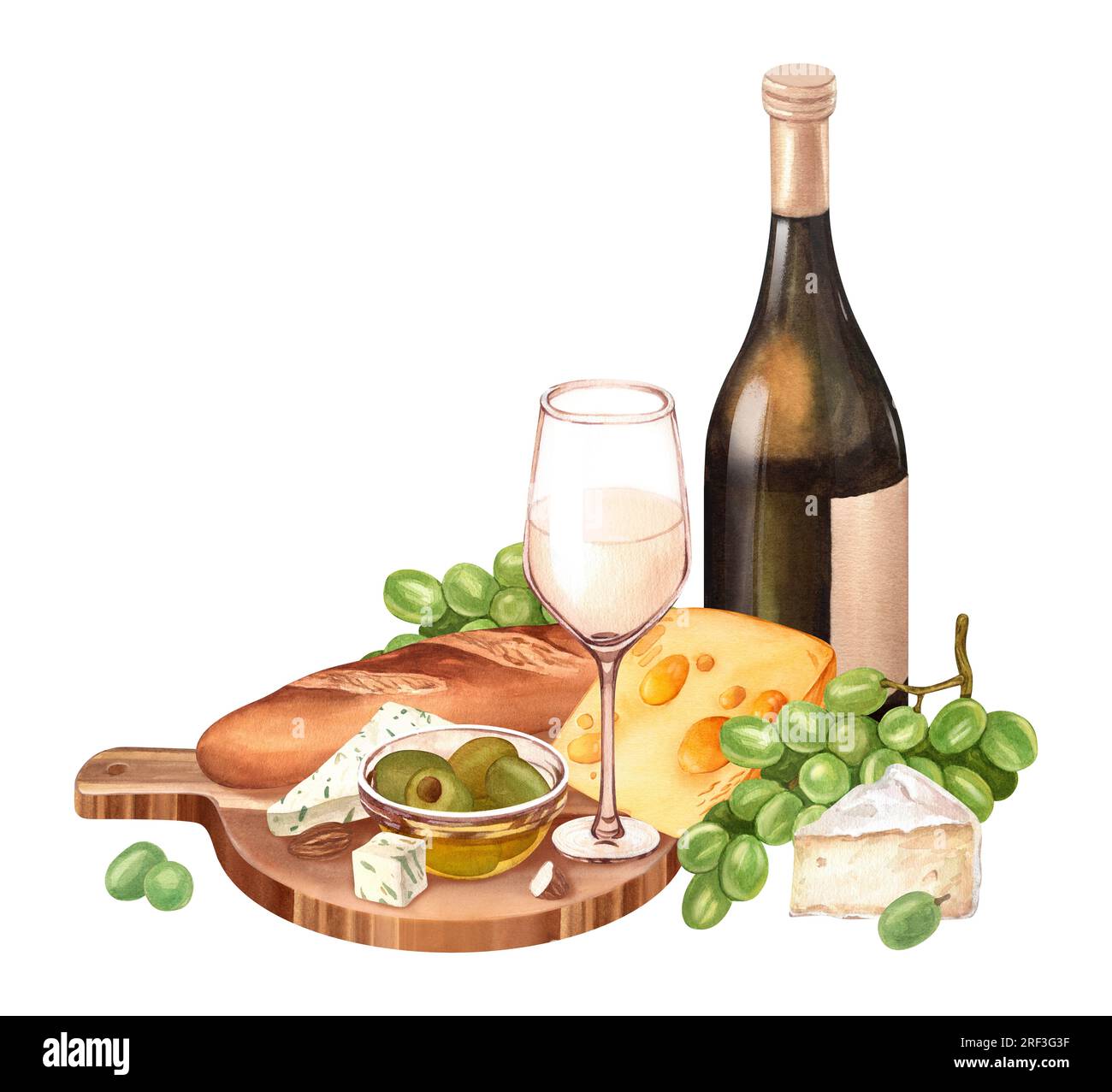 Watercolor white wine bottle, fresh ripe green grapes, cheese on the ...