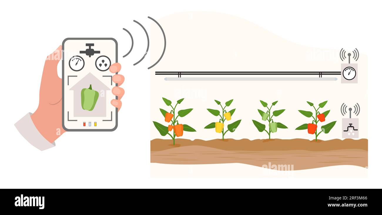 Person controls smart agricultural greenhouse system by digital device Vector illustration
