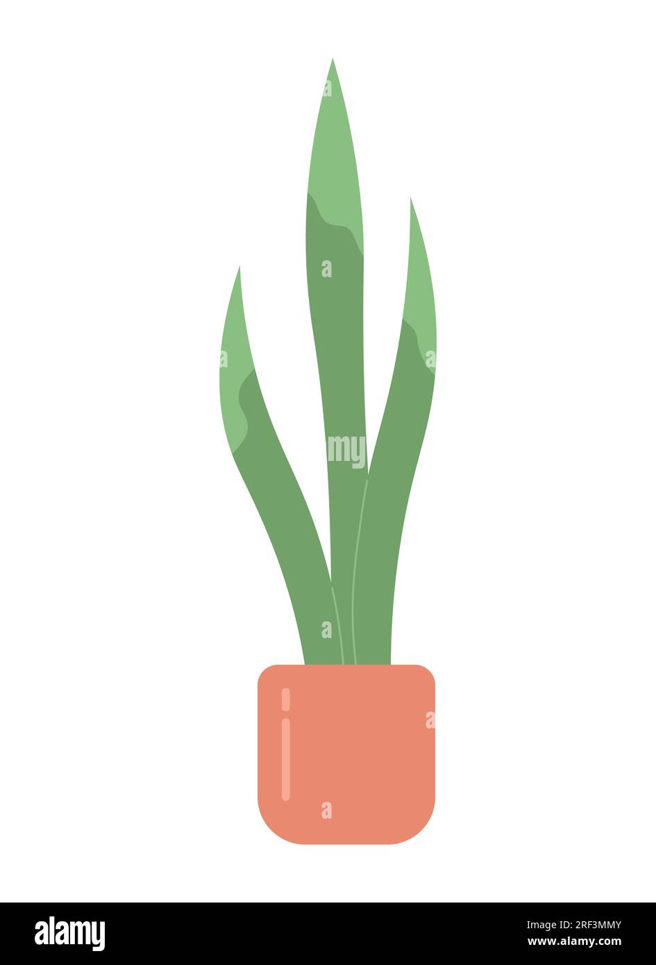 Decorative snake plant in pot semi flat colour vector object Stock Vector