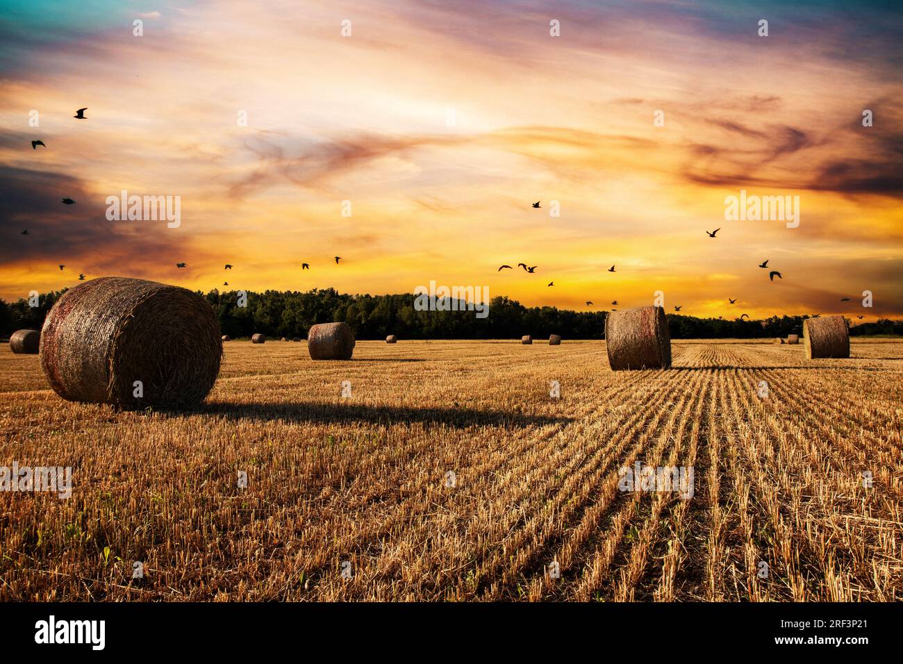 Hay Bale Sunset Stock Photo - Download Image Now - Bale, Hay, Farm