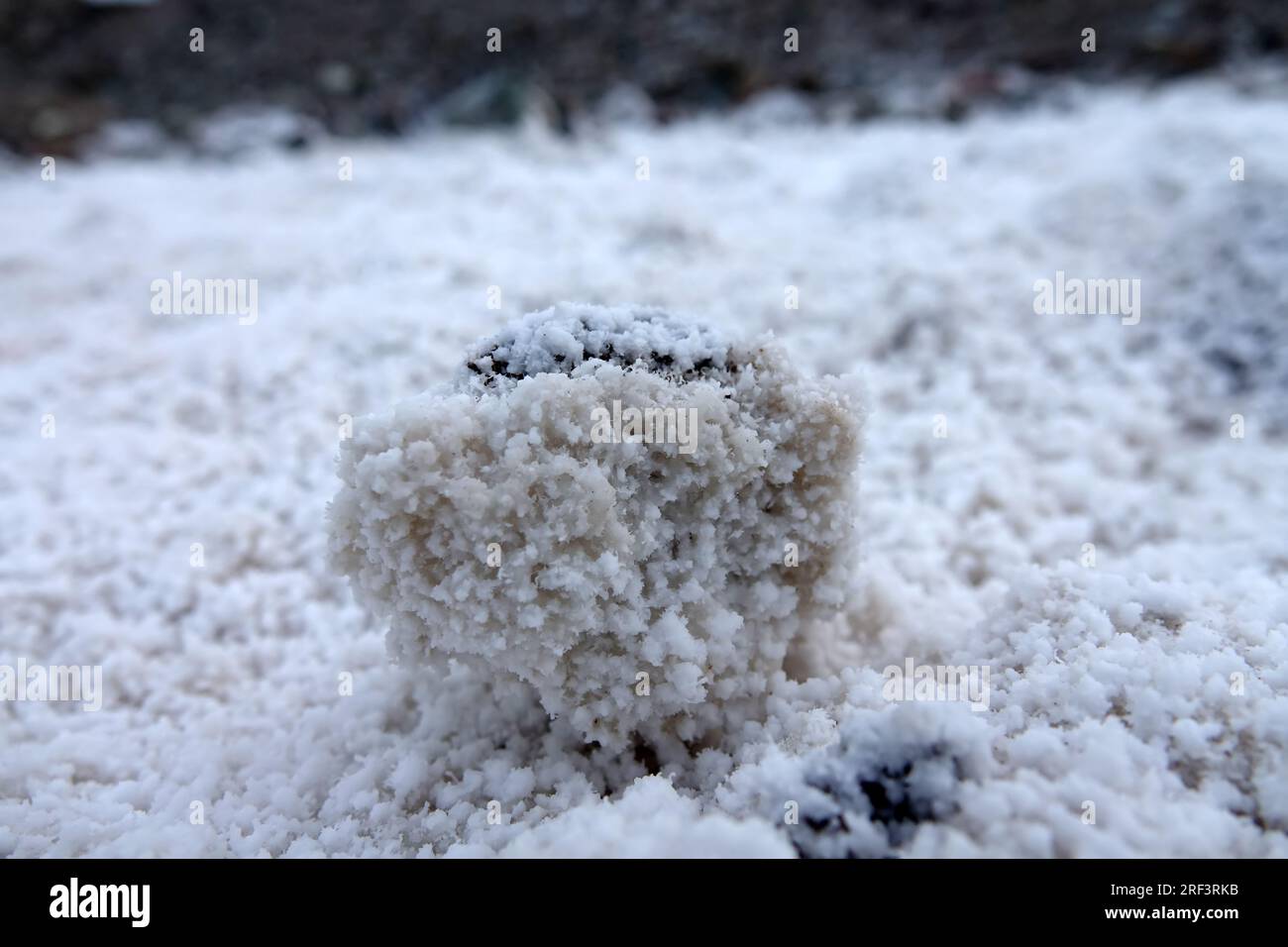 Geology and Geochemistry. Saline land, limestone evaporite, gypsum dropped from supersaturated solutions, Anhydrite - calcium sulfate, solidification. Stock Photo