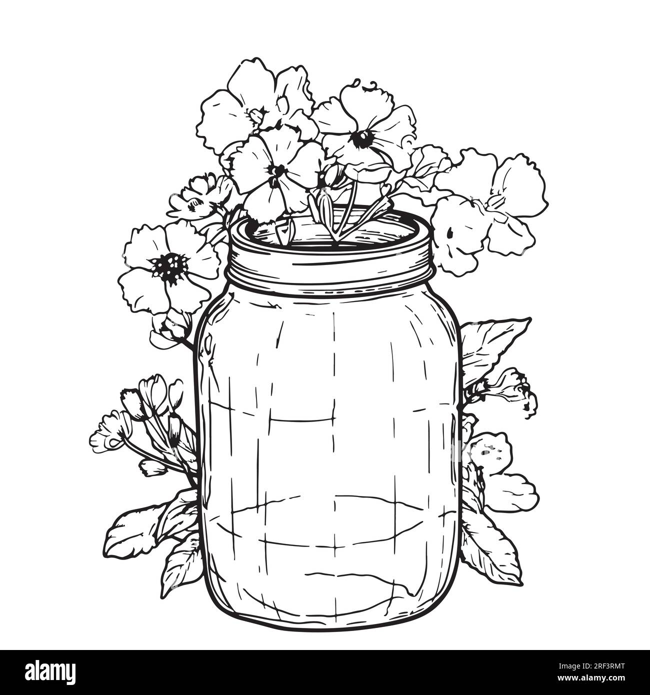 Jar of flowers hand drawn sketch Vector illustration Flowers Stock