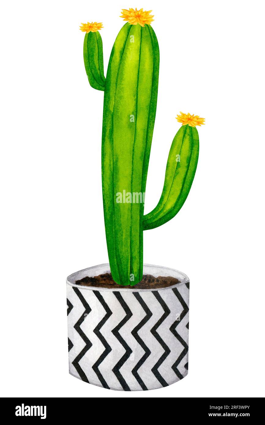 Cactus in a ceramic pot. Boho, scandinavian style. Watercolor clipart for design of cards, logos, stationery, print, fabric, home textile. Stock Photo