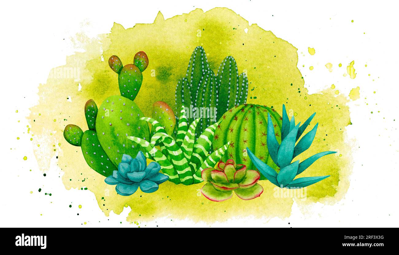 Composition of cacti and succulents on a watercolor background. Colorful hand drawn design for postcards, textile printing, stationery, logos, adverti Stock Photo