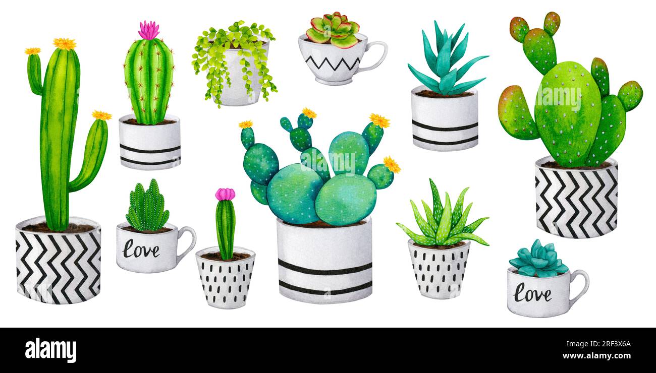 A large set of cacti and succulents in flower pots. Scandinavian, boho  style. Collection of watercolor elements for card design, fabric printing,  stat Stock Photo - Alamy