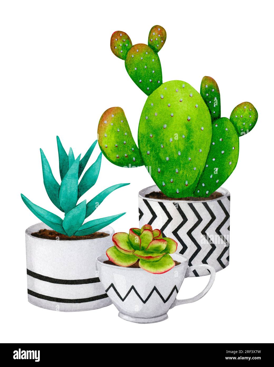 Watercolor composition of cacti and succulents in ceramic pots