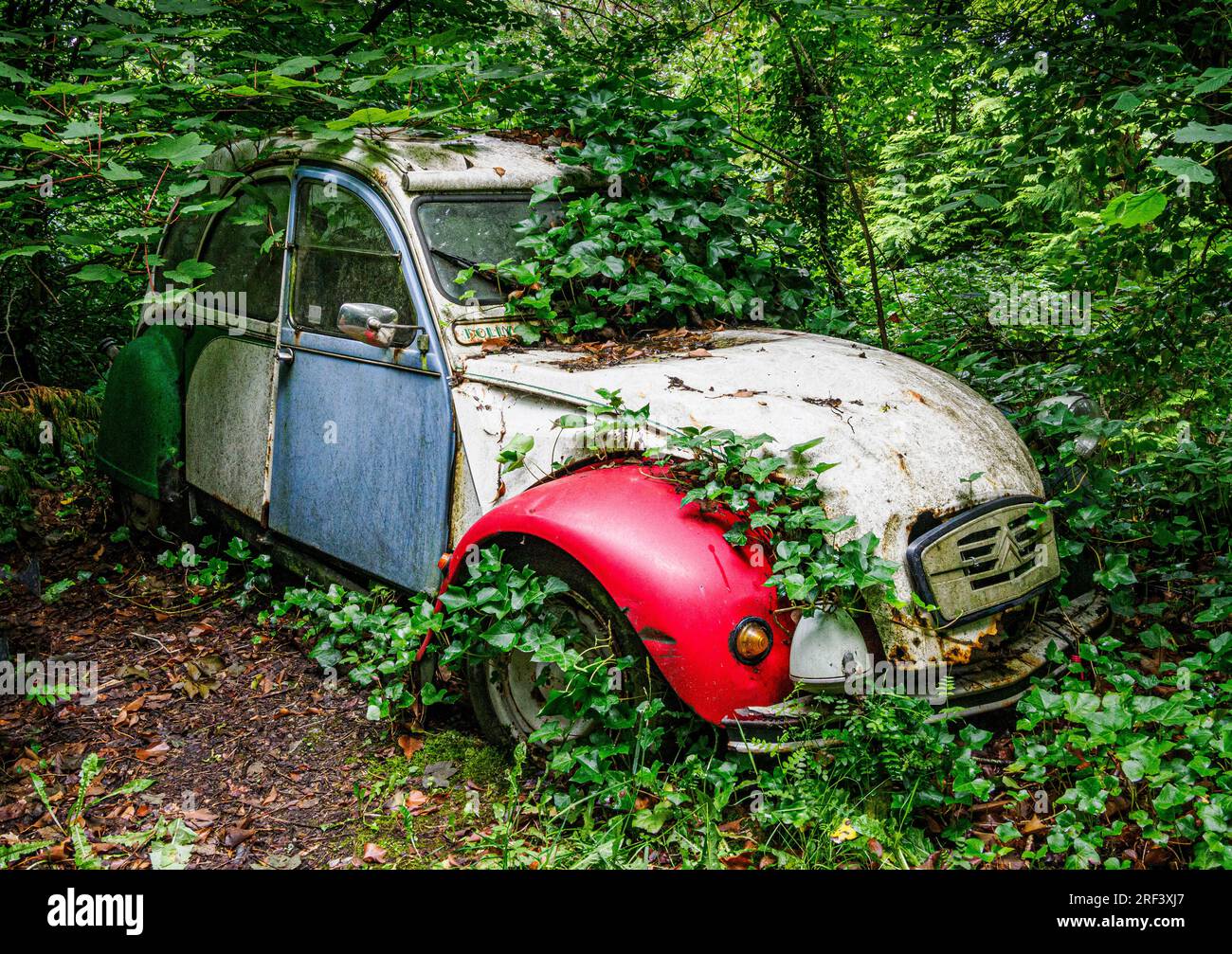 Last resting place of a classic Citroen 2CV car in a Derbyshire wood UK Stock Photo