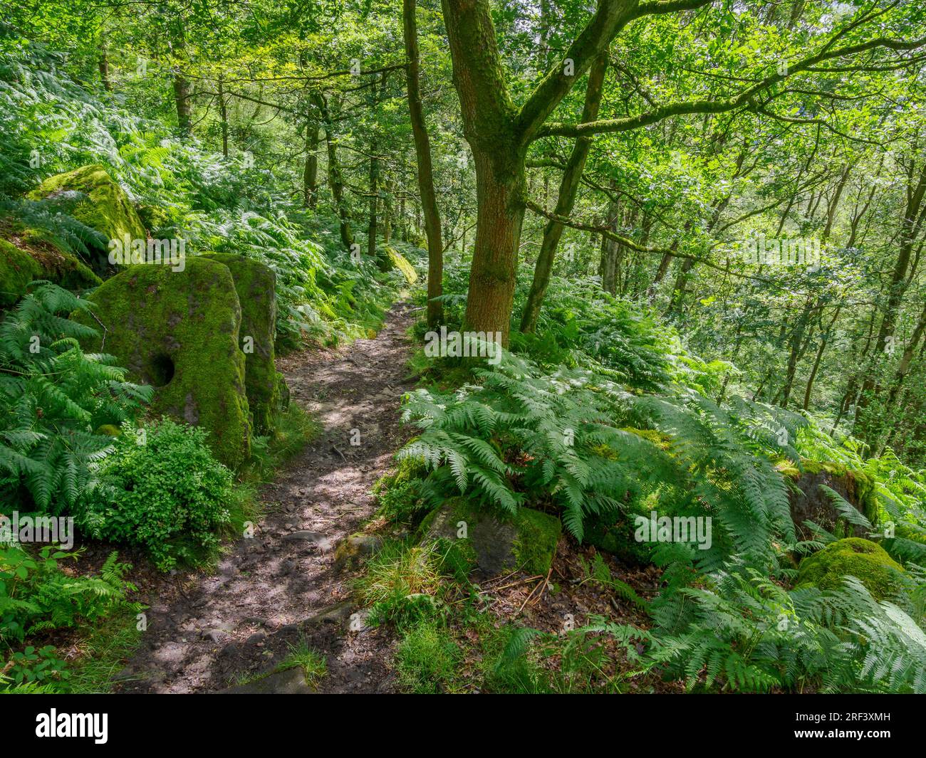 Woodland below Froggatt Edge with broken millstones beside a shady path - Derbyshire Peak District UK Stock Photo