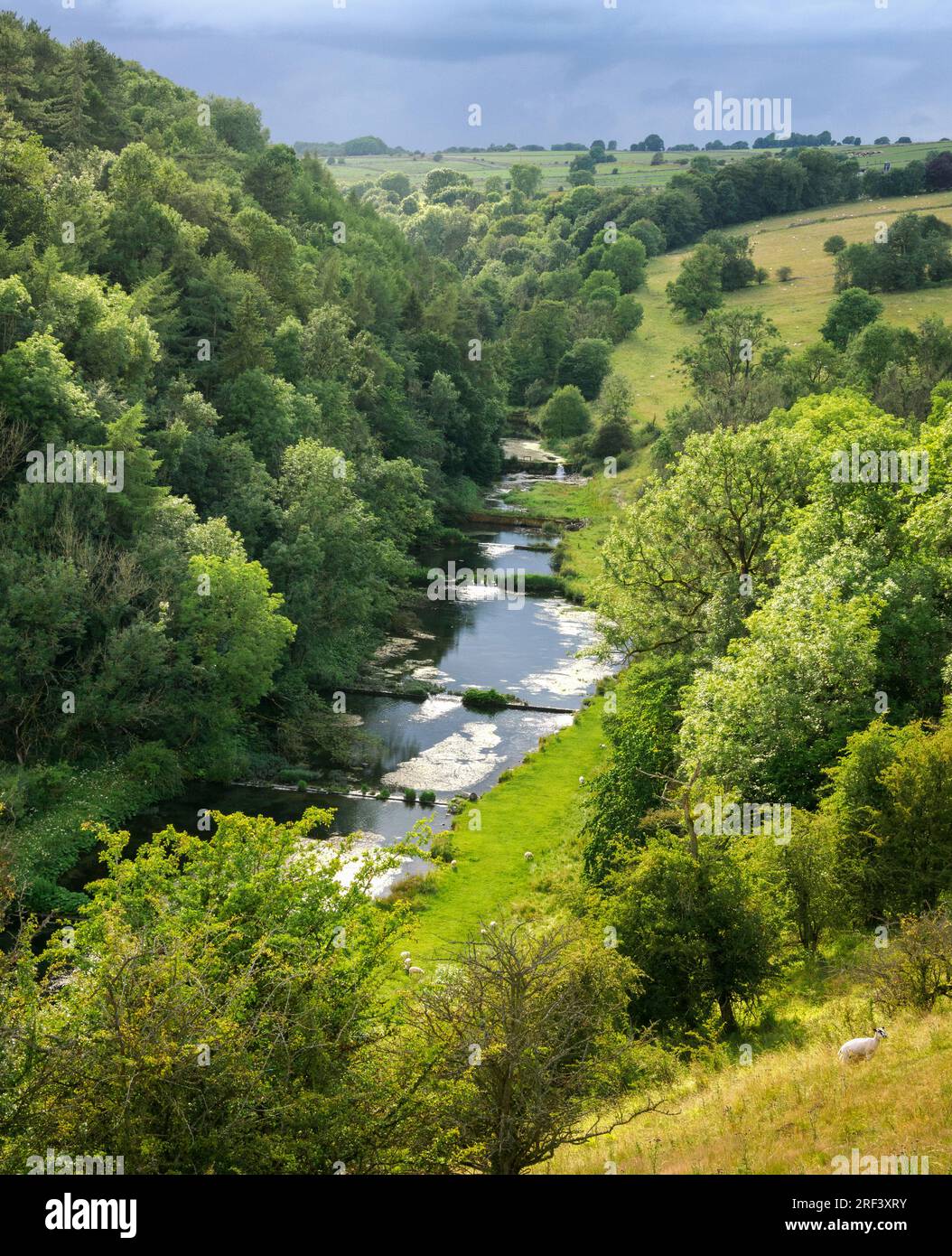 Looking down on the weirs and trout pools of the lower River Lathkill below Over Haddon in the Derbyshire Peak District UK Stock Photo
