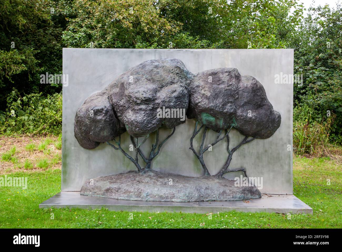 Peter Roche Big yamutree hi-res stock photography and images - Alamy