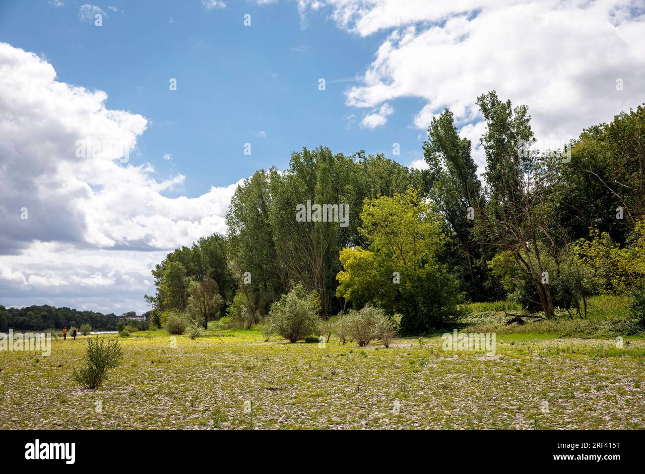 river Rhine meadows and floodplain forest in Rodenkirchen-Weiss ...
