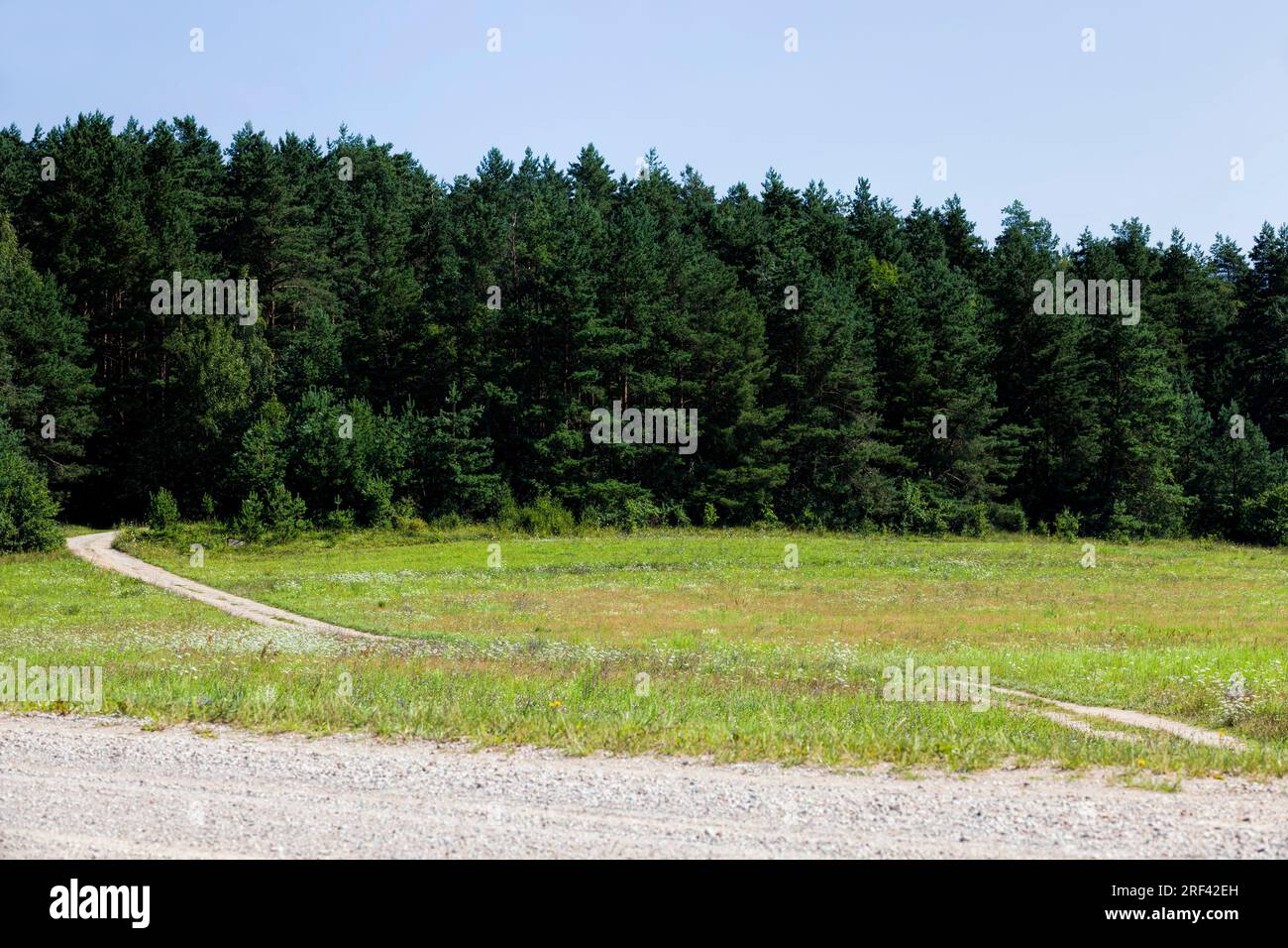 agricultural activities in the field of crop production, seasonal