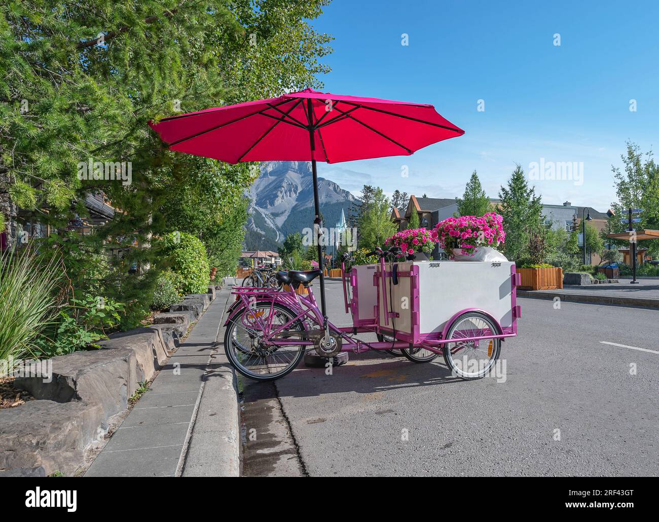 Pink bicycle ice-cream carts parked on Banff Avenue in Banff National Park, Alberta, Canada Stock Photo
