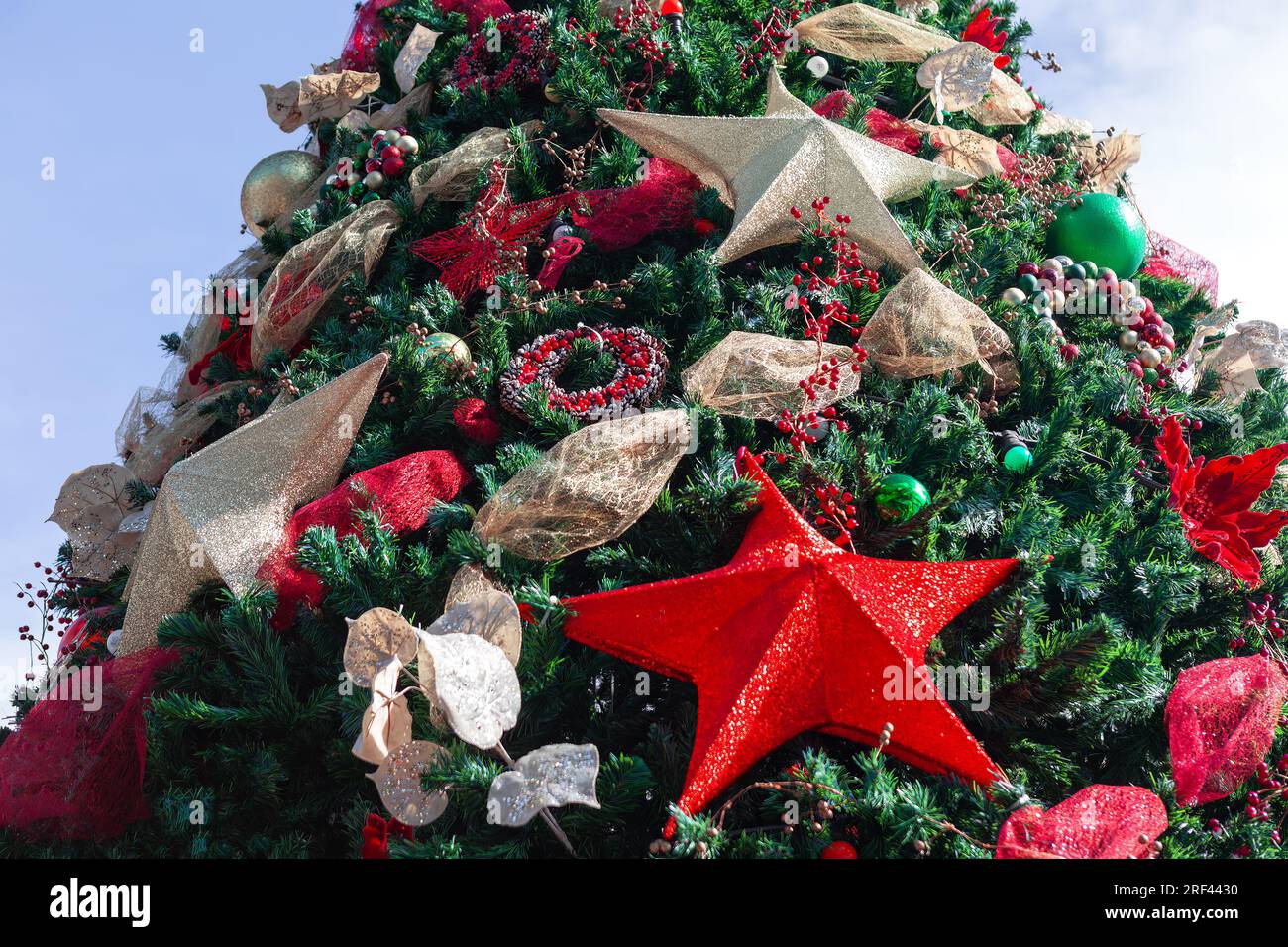 Christmas tree decorated with red and gold stars and balls on blue sky ...