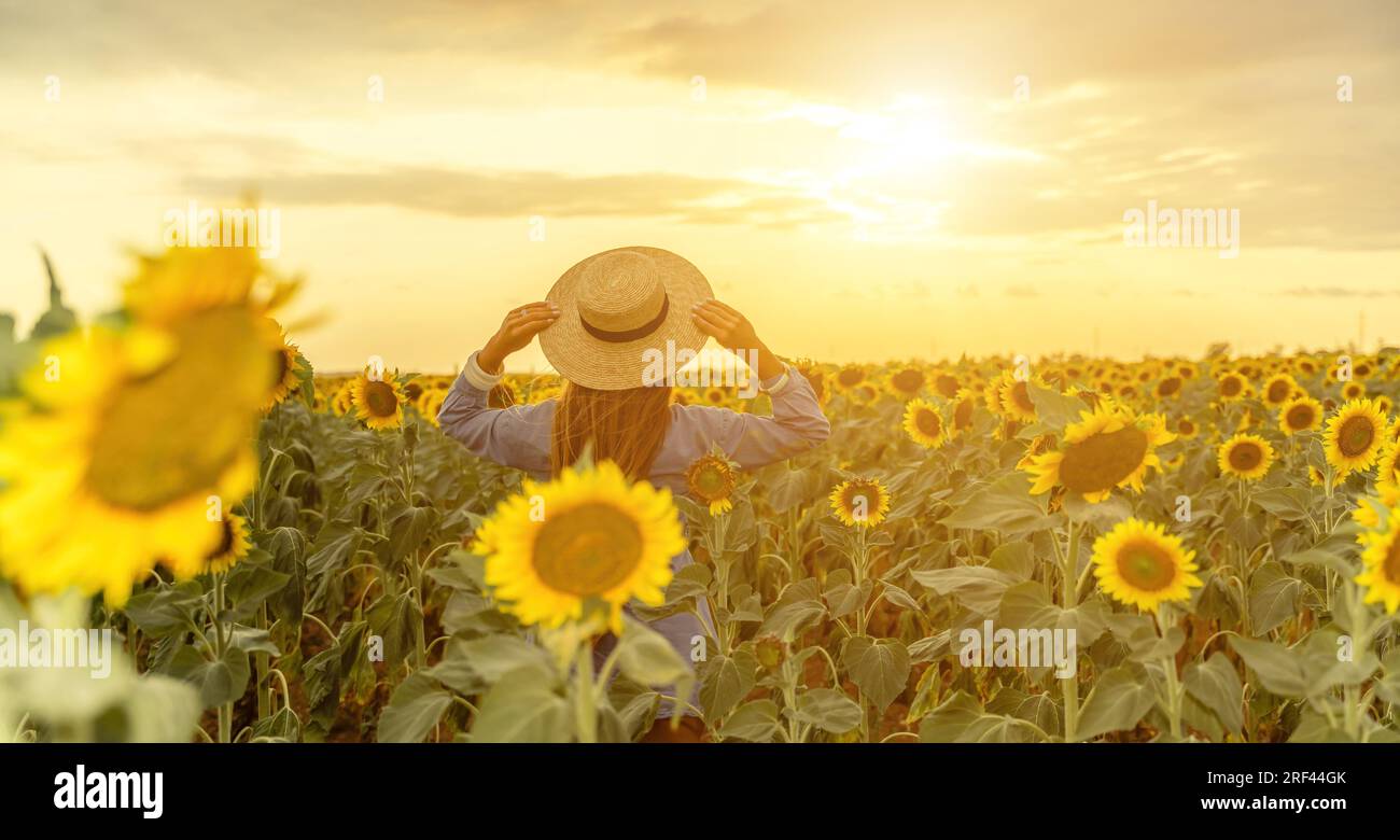 Woman sunflower field. Happy girl in blue dress and straw hat posing in ...