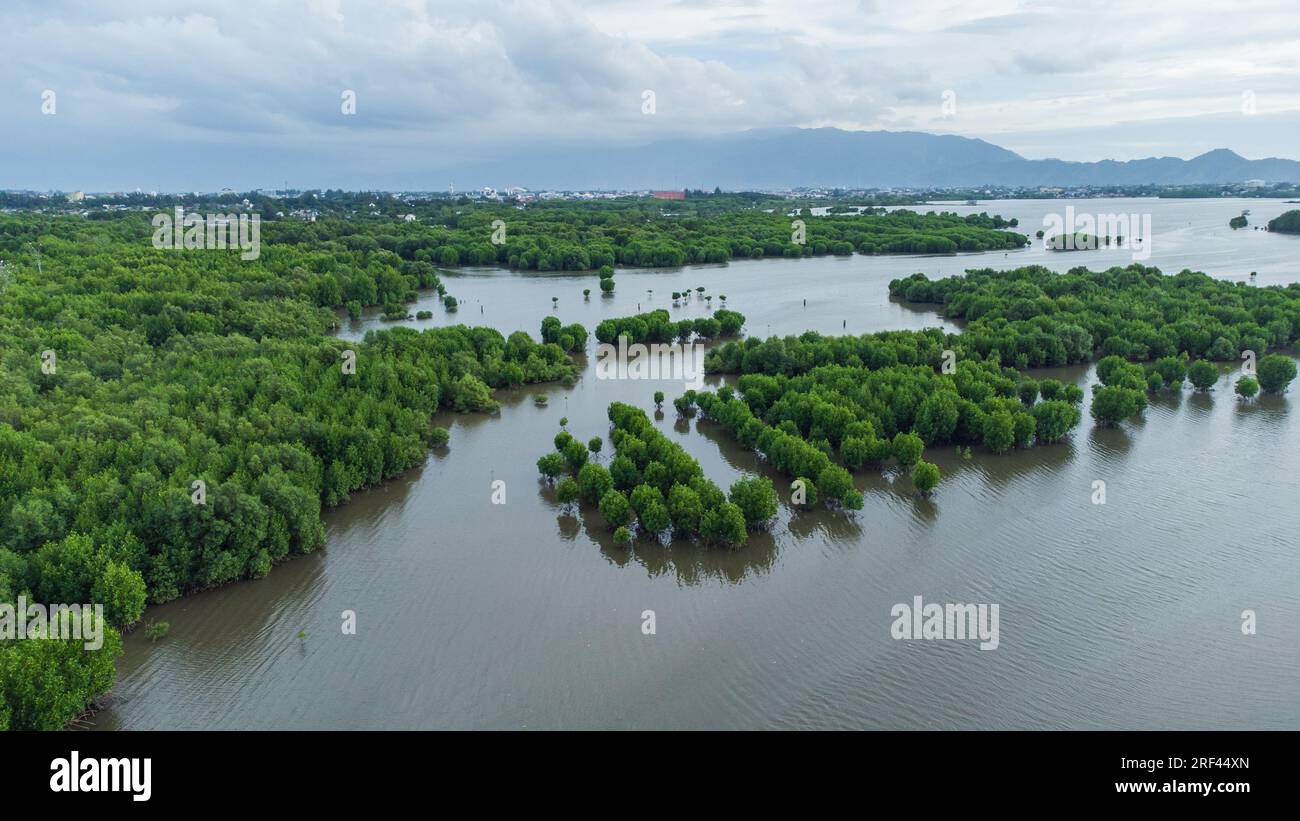 Aerial view of mangrove forest in Aceh province, Indonesia Stock Photo