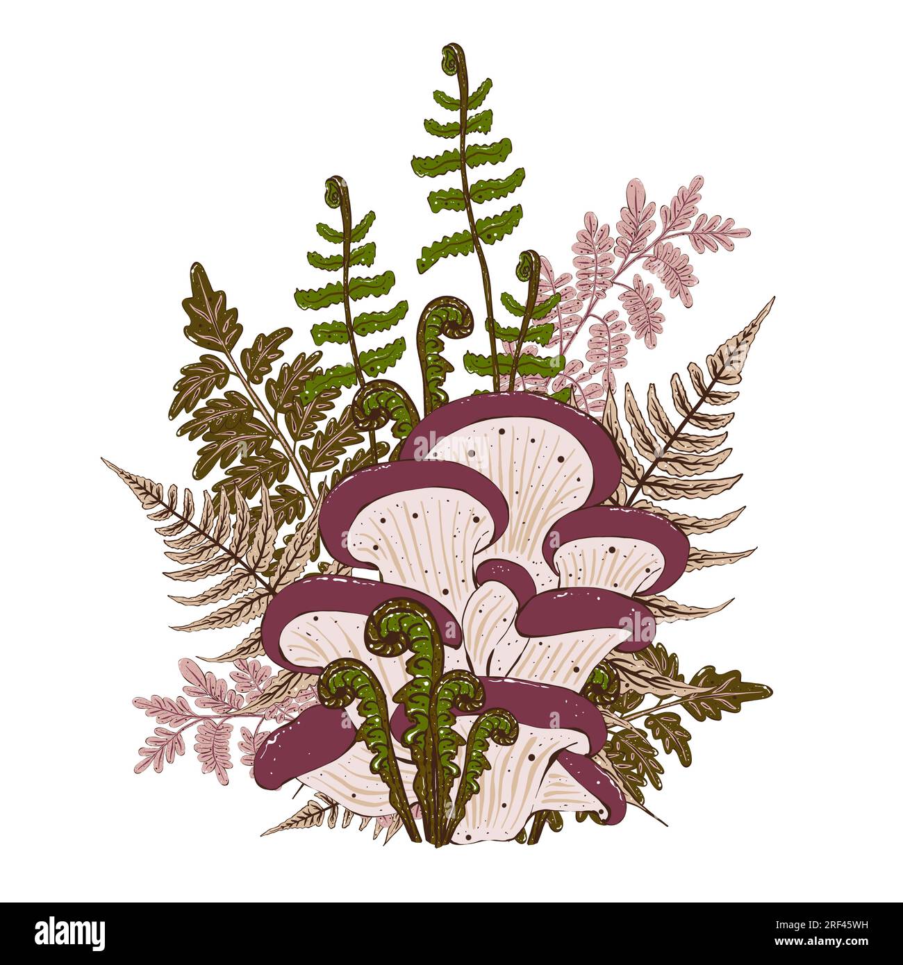Composition of poisonous mushrooms and fern leaves. Mystical illustration in cartoon style Stock Photo