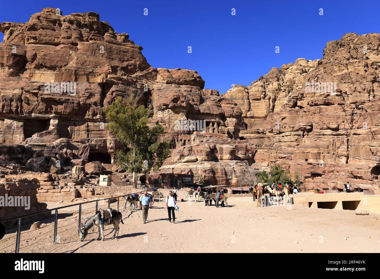 High overview of Petra city, UNESCO World Heritage Site, Wadi Musa, Jordan, Middle East Stock Photo
