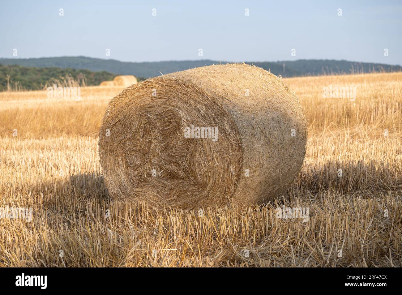 A Straw bales on a stubble field with sky Stock Photo - Alamy