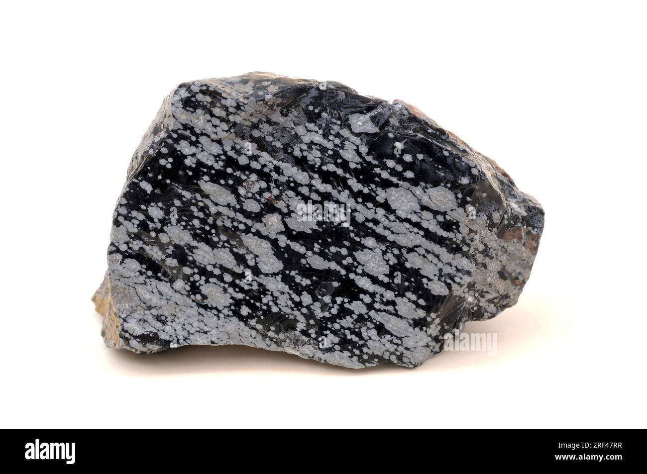 Snowy obsidian is a volcanic glass rock with conchoidal fracture. This sample comes from Mexico. Stock Photo