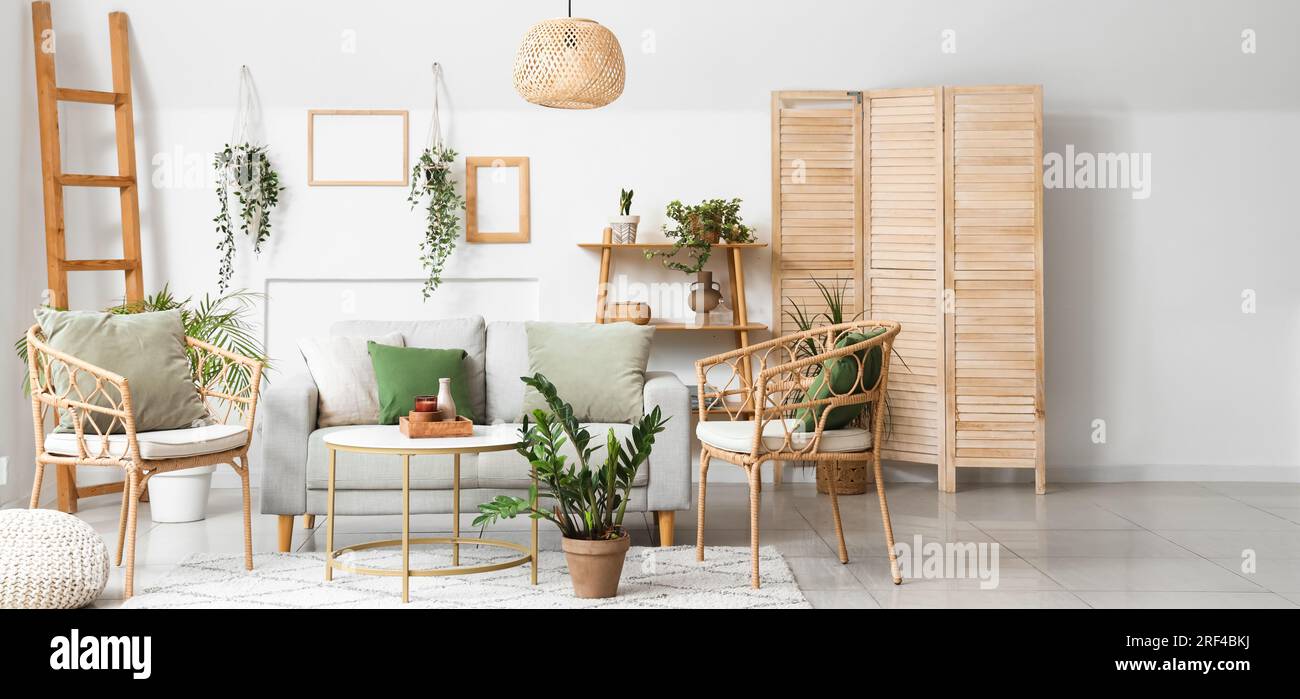 Interior of light living room with modern sofa, houseplants and ...