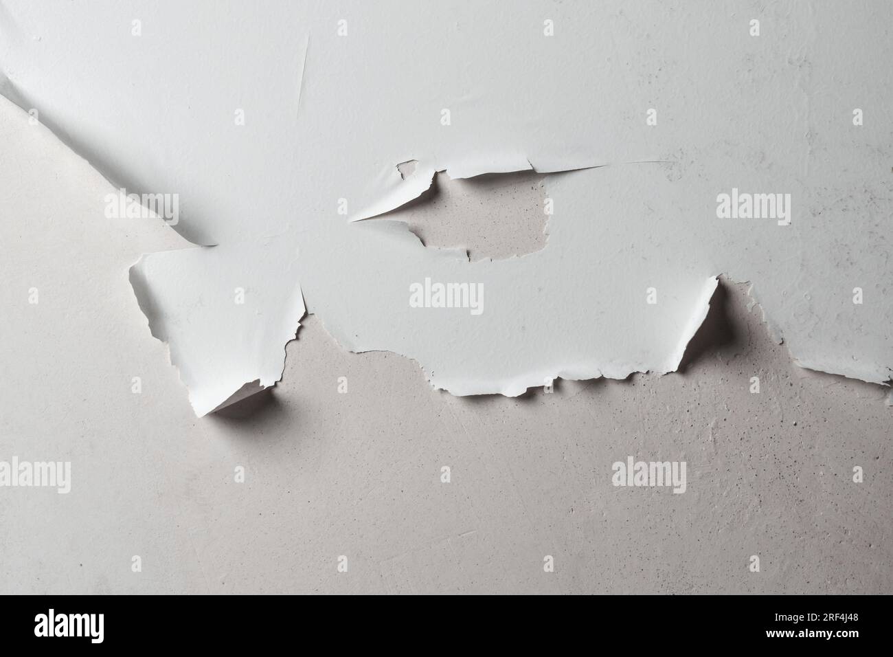 Ceiling damage, peeling paint of a rotting wet drywall surface in a