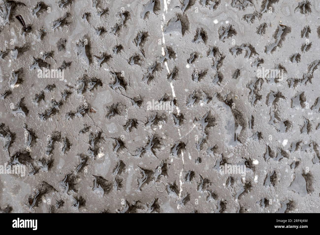 Wet cement wall background with shiny glossy perforated surface Stock Photo