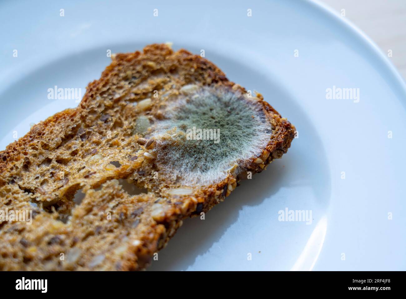 Mould on a slice of multigrain bread, mouldy, Stock Photo