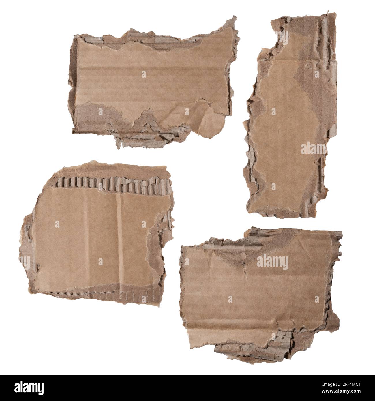 collection of torn cardboard papers on white background with clipping path Stock Photo