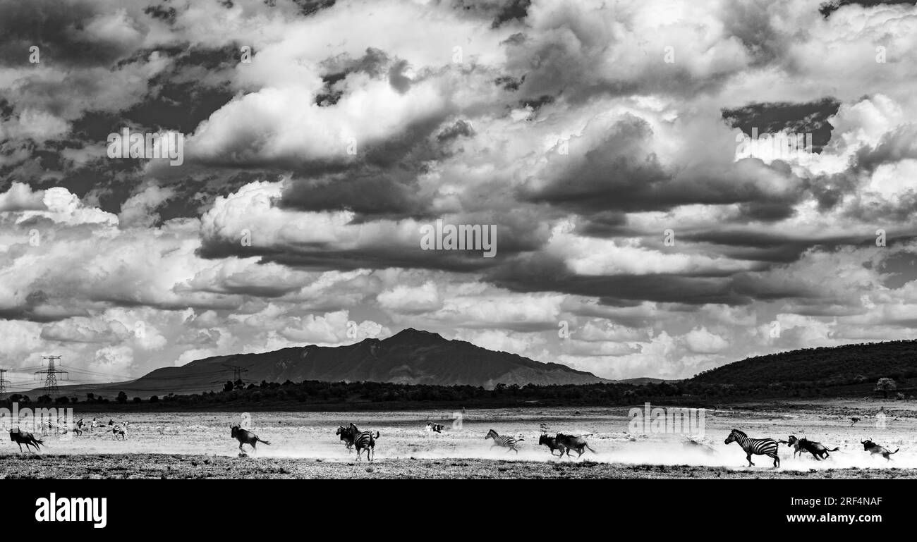 Hell's Gate National Park lies south of Lake Naivasha in Kenya, north ...