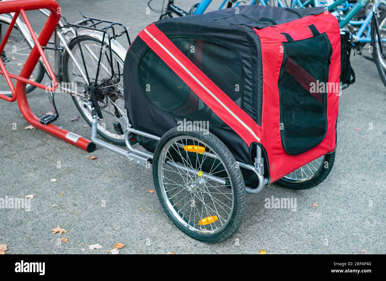 Modern dog cart on a bike. Bike dog trailer on the street. Pet cart bicycle, pet stroller for large dogs. Bicycle trailer for dog outdoor. Transportat Stock Photo