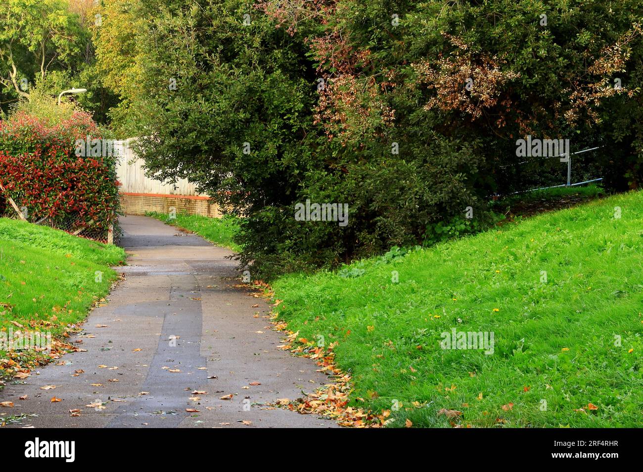 Autumn landscape. A slightly curved footpath with lush green grass verges either side, the pathway disappearing between bushes and trees. Stock Photo