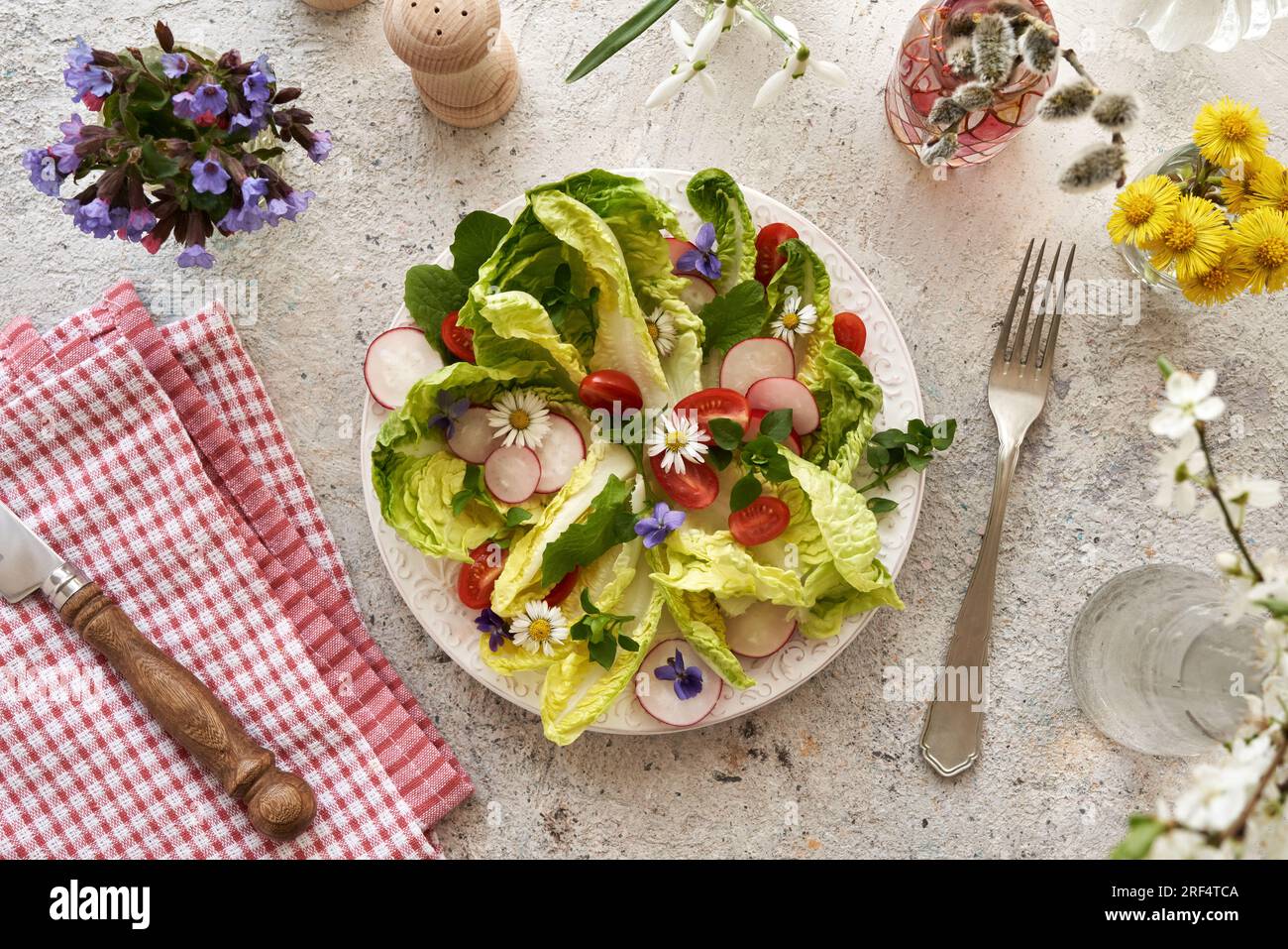 Fresh vegetable salad with common daisy flowers, chickweed and other wild edible plants harvested in spring Stock Photo