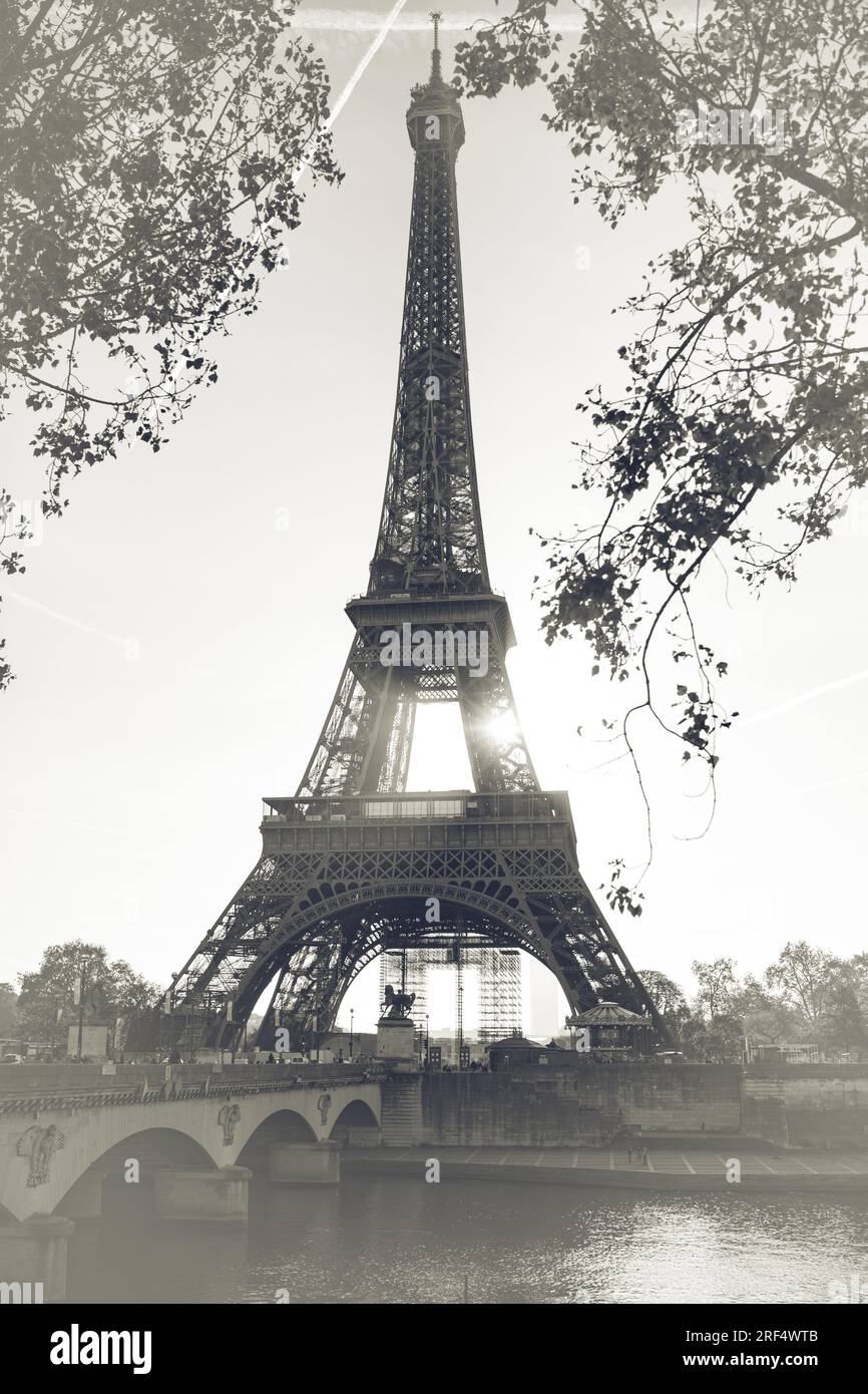 Eiffel tower isolated over the white background Stock Photo - Alamy
