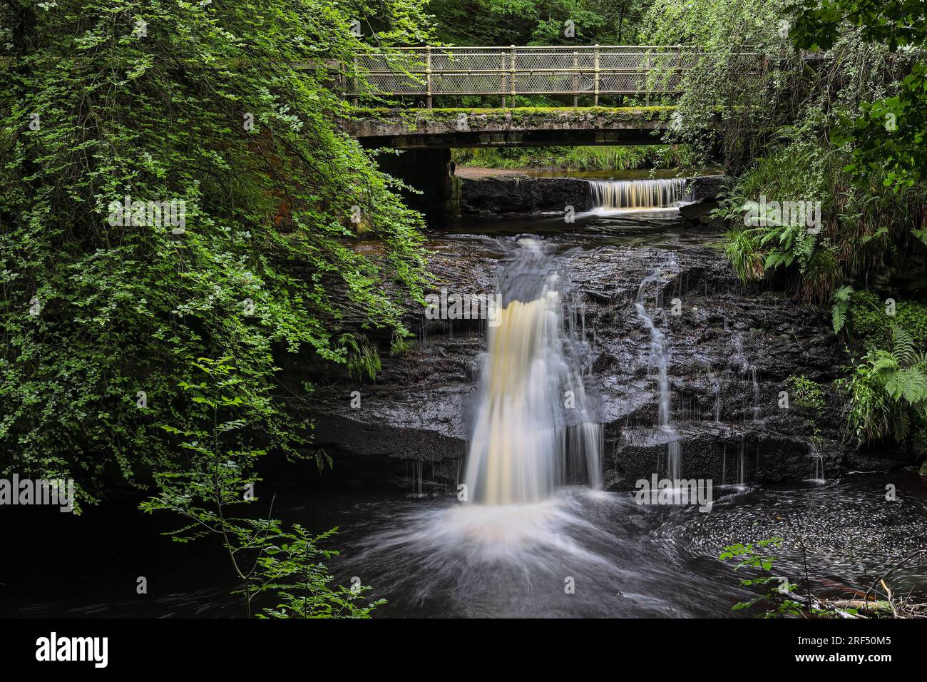 Blackling Hole waterfall in summer, Hamsterley Forest, Teesdale, County Durham, UK Stock Photo