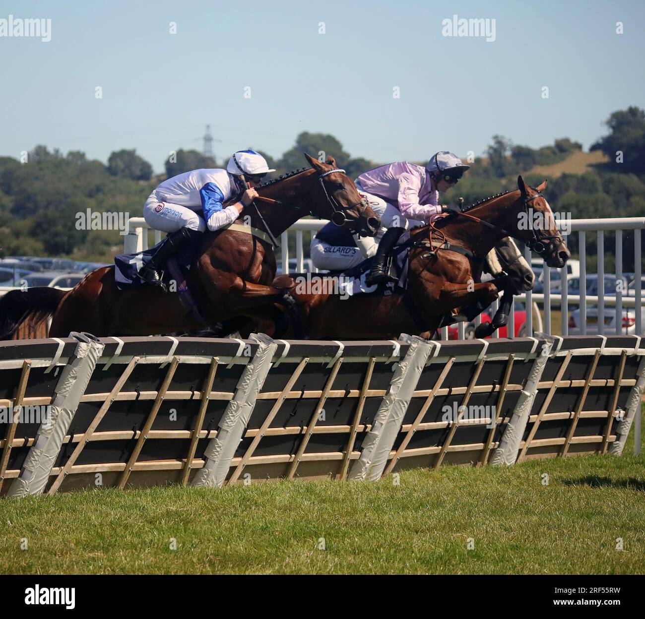 Horse Racing at Newton Abbot Stock Photo