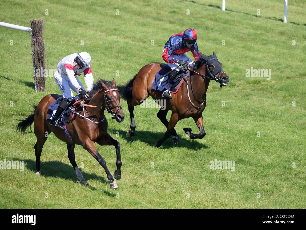Horse Racing at Newton Abbot Stock Photo Alamy
