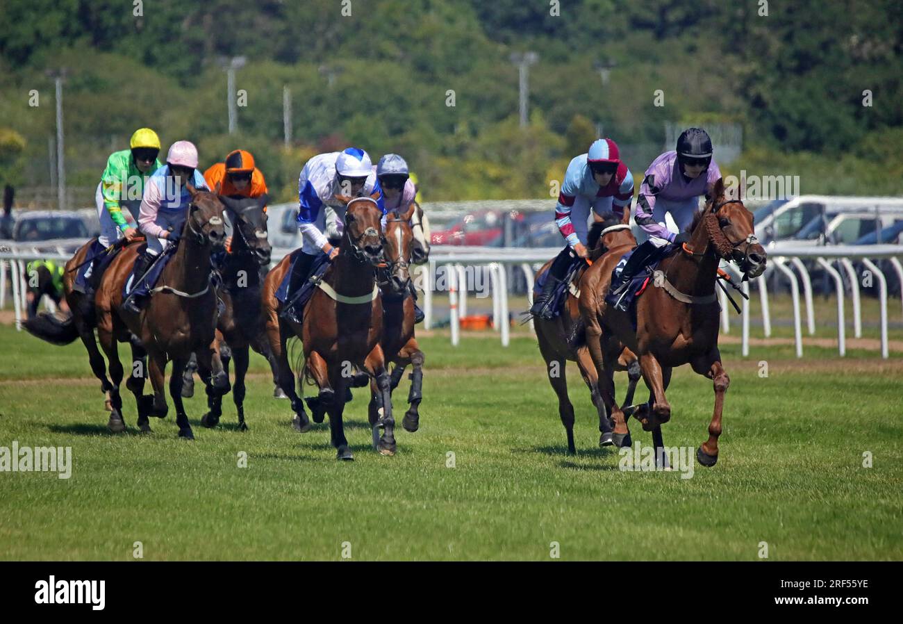 Horse Racing at Newton Abbot Stock Photo - Alamy