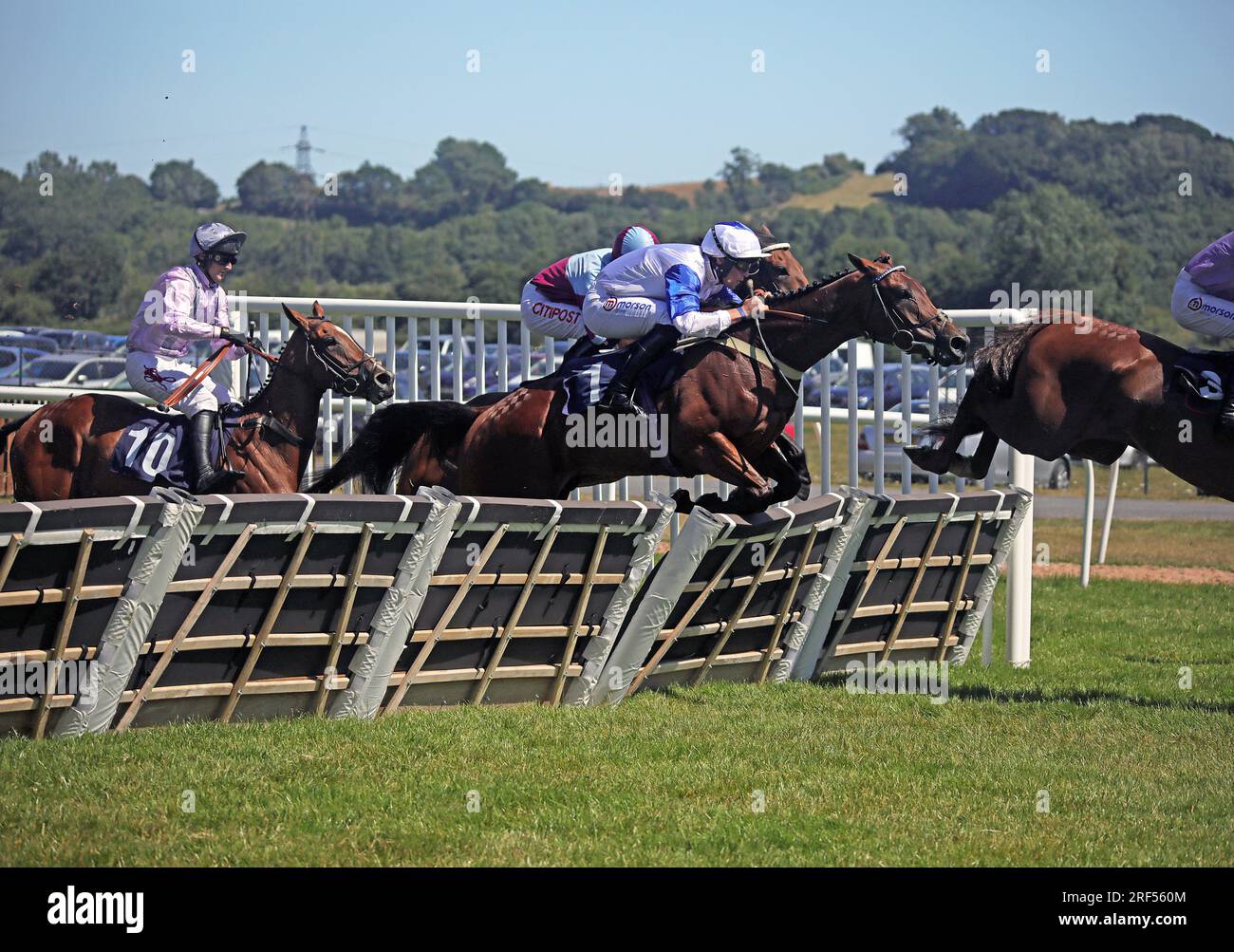 Horse Racing at Newton Abbot Stock Photo Alamy