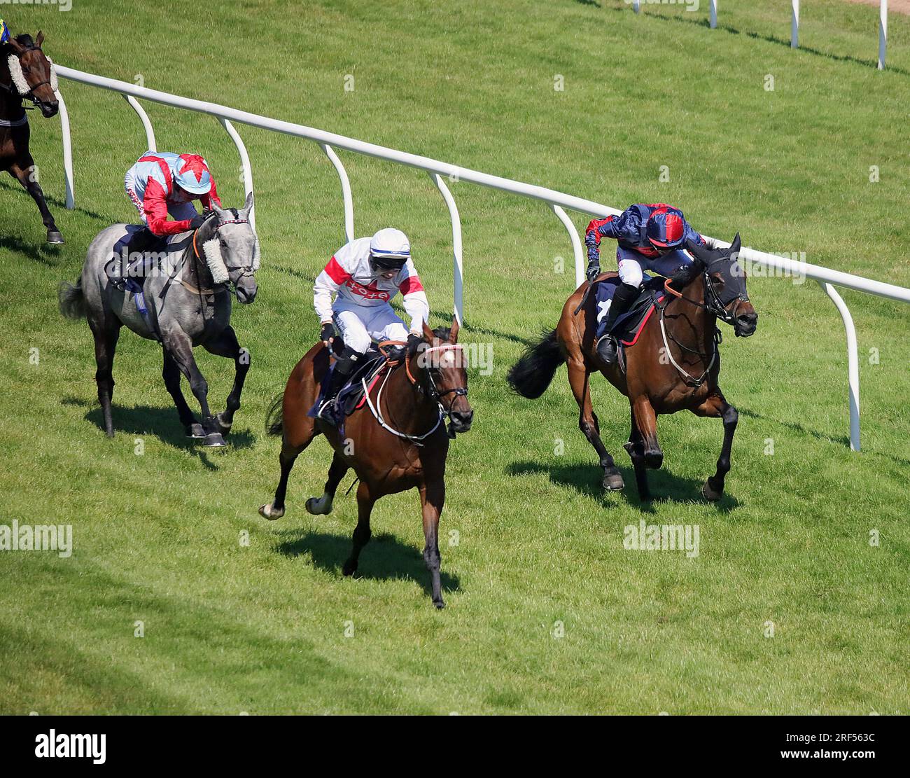 Newton abbot hi-res stock photography and images - Alamy